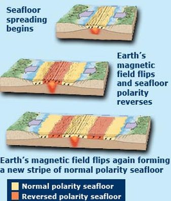 magnetic reversal mid ocean ridges
